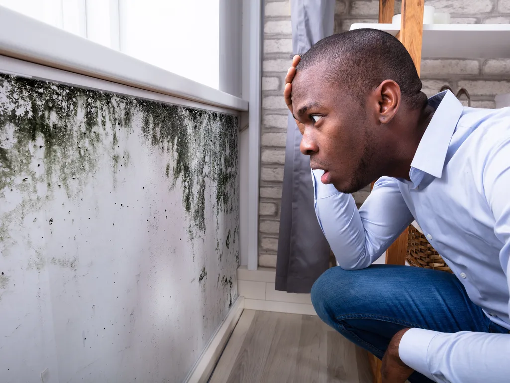 12 Problems Every Homeowner Will Deal With at Some Point